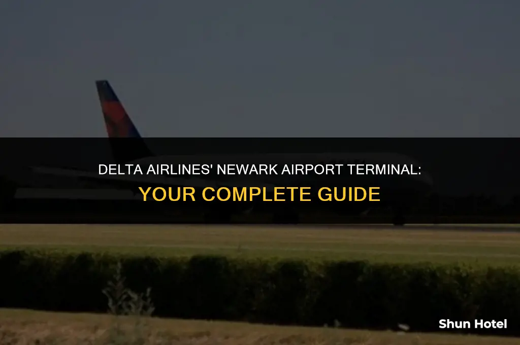 what terminal is delta airlines at in newark airport