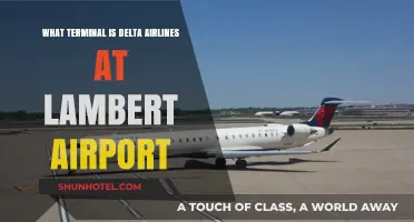 Delta Airlines' Terminal at Lambert Airport: Your Complete Guide