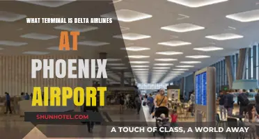 Delta Airlines Terminal at Phoenix Airport: Your Complete Guide