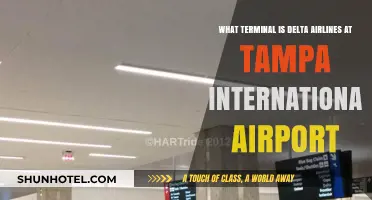 Delta Airlines Terminal Guide: Navigating Tampa International Airport