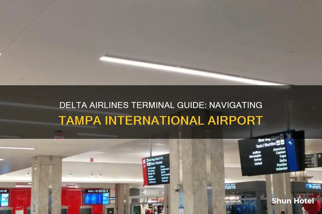 what terminal is delta airlines at tampa international airport