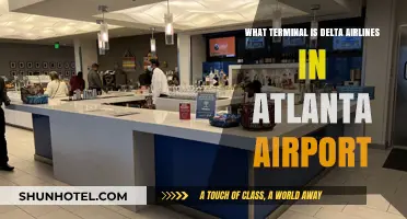 Delta's Atlanta Airport Terminal: Your Complete Guide to Navigating ATL