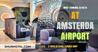 Delta's Terminal at Amsterdam Airport: Your Complete Guide