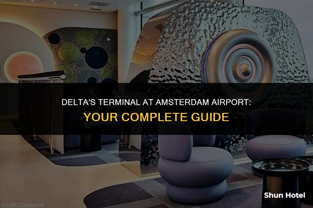 what terminal is delta at amsterdam airport