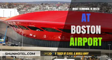 Delta's Terminal at Boston Airport: Your Complete Guide
