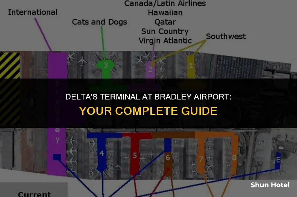 what terminal is delta at bradley airport