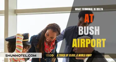 Delta's Terminal at Bush Airport: Your Complete Guide