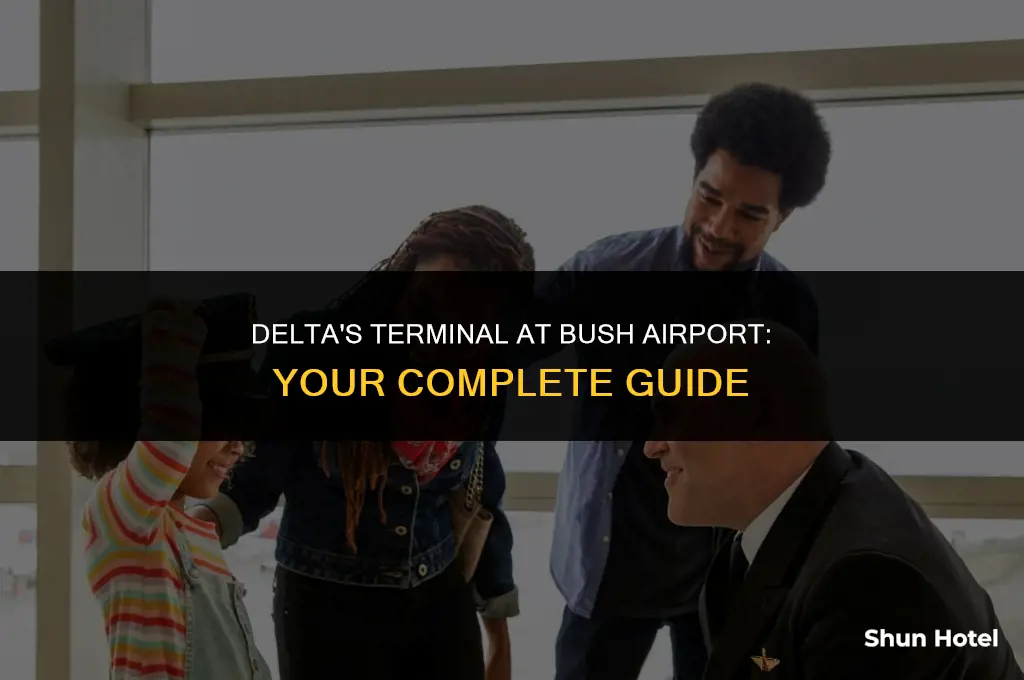 what terminal is delta at bush airport