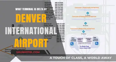 Delta's Terminal at Denver International Airport: A Quick Guide