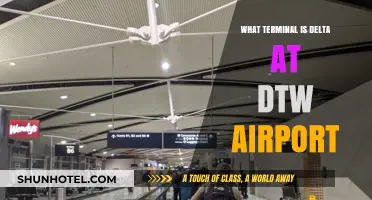 Exploring DTW: Unveiling Delta's Terminal Location