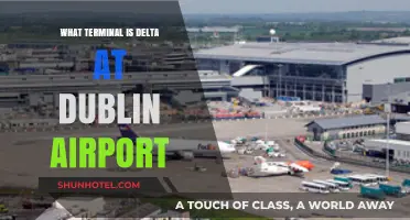 Delta's Dublin Airport Terminal: Your Complete Guide to Navigation