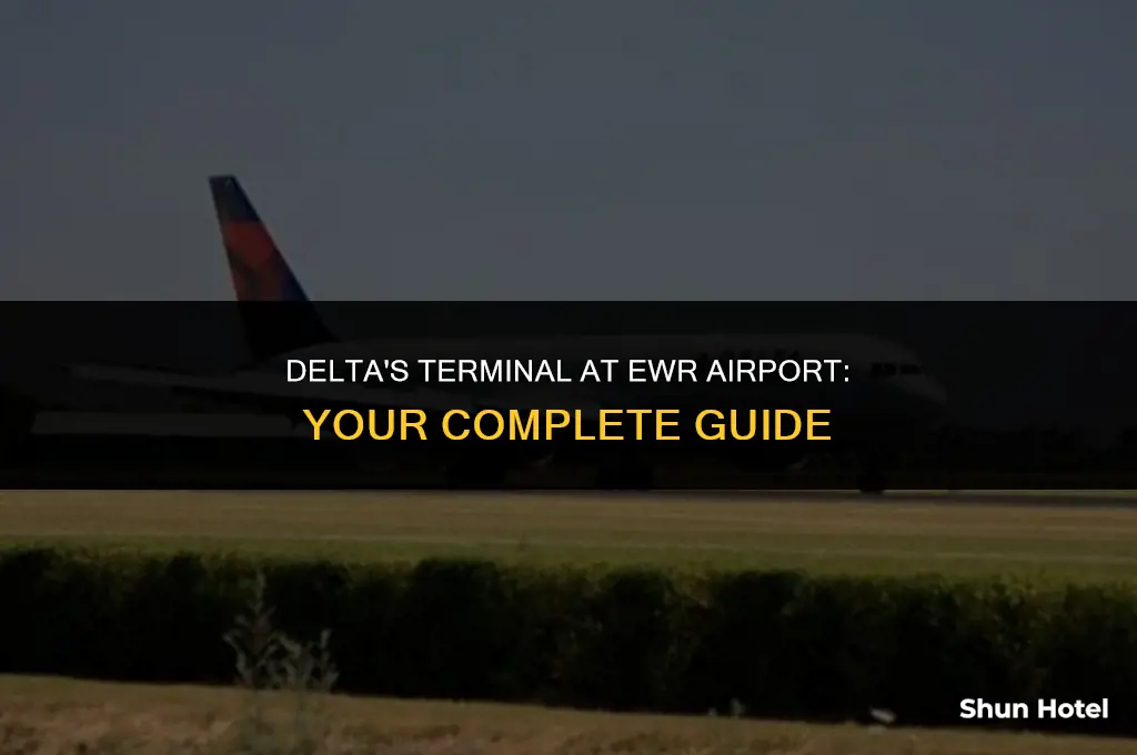 what terminal is delta at ewr airport