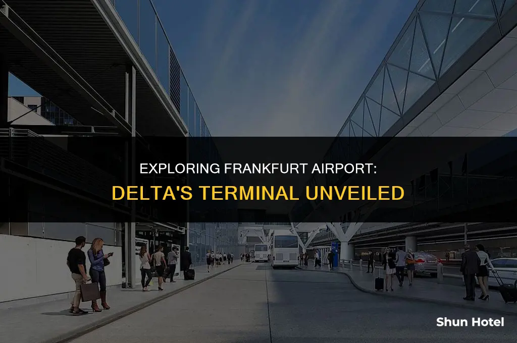 what terminal is delta at frankfurt airport