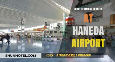 Delta's Terminal at Haneda: Your Complete Guide to Navigation