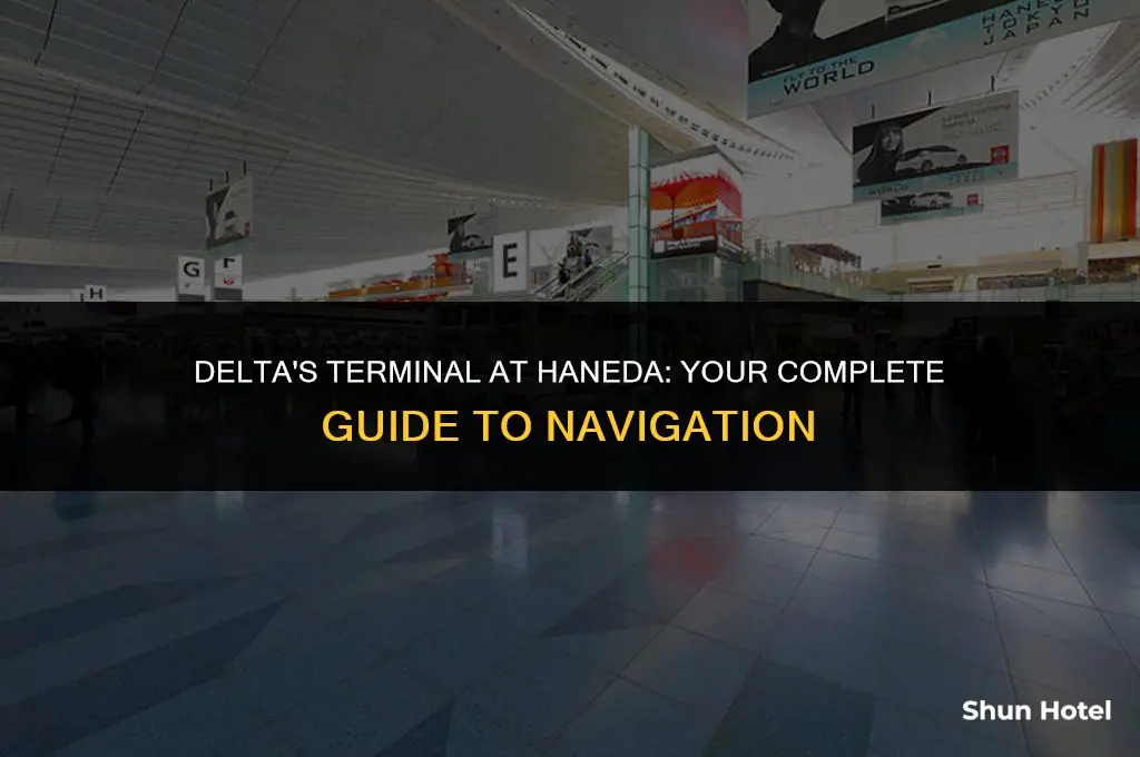 what terminal is delta at haneda airport