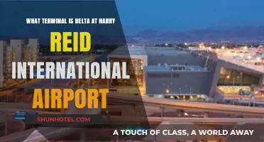 Delta's Terminal at Harry Reid International Airport: A Quick Guide