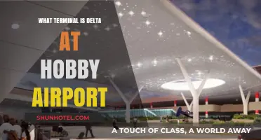 Delta's Terminal at Hobby Airport: Your Complete Guide