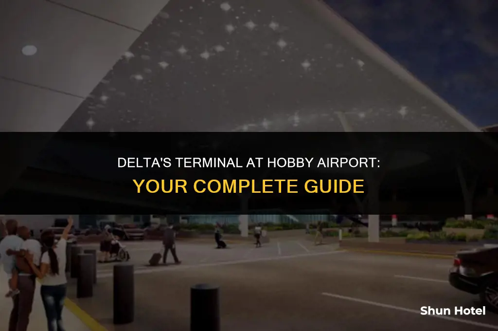 what terminal is delta at hobby airport