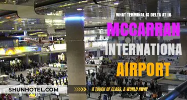 Delta's Terminal at McCarran International Airport: A Quick Guide