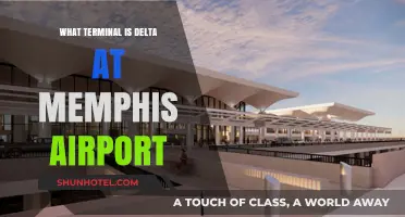 Delta's Memphis Airport Terminal: Your Complete Guide to Navigation