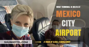Navigating Mexico City Airport: Locating Delta's Terminal