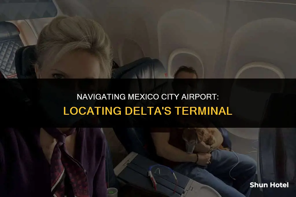 what terminal is delta at mexico city airport