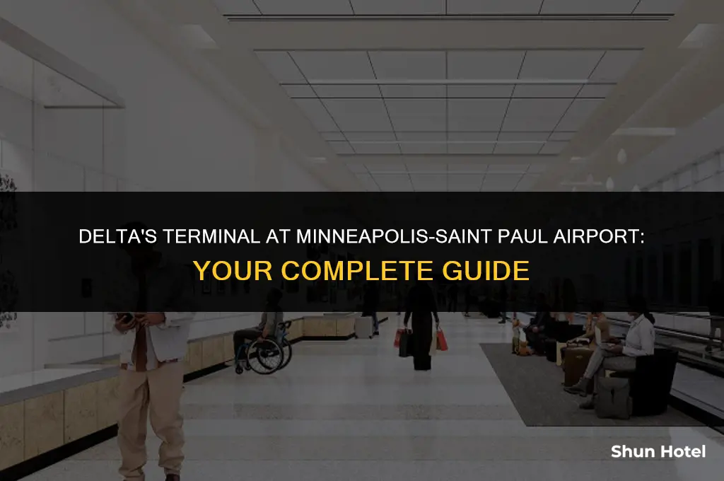what terminal is delta at minneapolis-saint paul airport