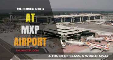 Delta's Terminal at MXP: Your Complete Guide to Navigating Milan Malpensa