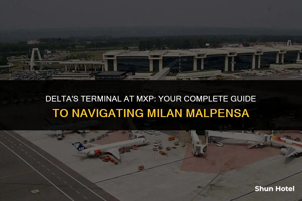 what terminal is delta at mxp airport