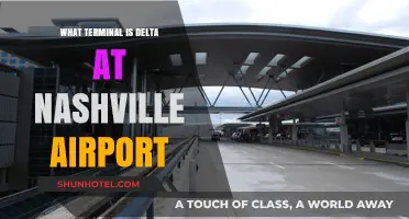 Exploring Nashville Airport: Delta's Terminal Guide for Travelers