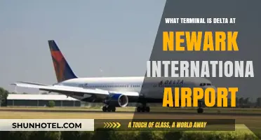 Delta's Terminal at Newark International Airport: A Quick Guide