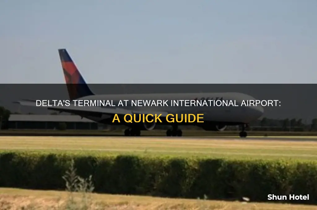 what terminal is delta at newark international airport