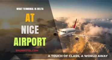 Exploring Nice Airport: Delta's Terminal and Beyond