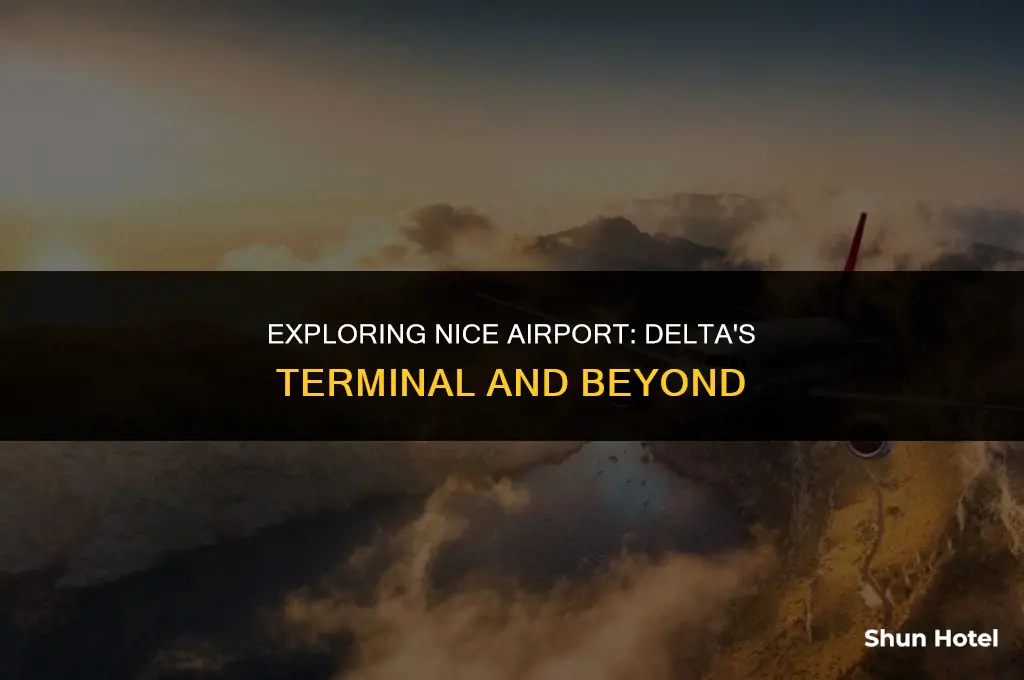 what terminal is delta at nice airport