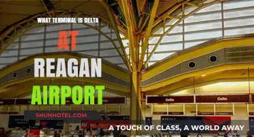 Delta's Terminal at Reagan Airport: Your Complete Guide