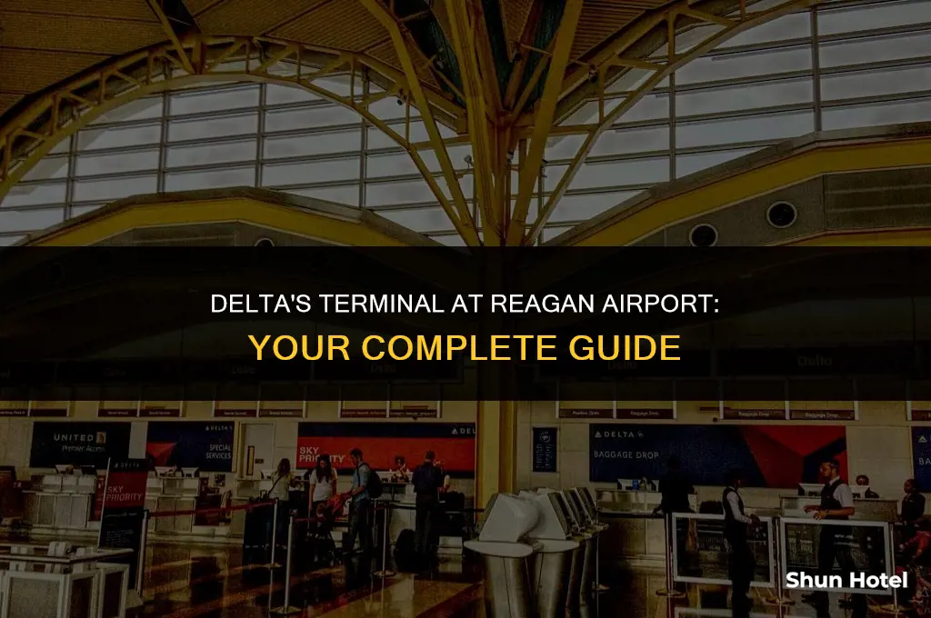 what terminal is delta at reagan airport