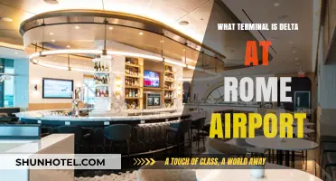 Delta's Rome Airport Terminal: Your Comprehensive Guide to Navigation