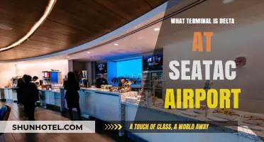 Delta's Terminal at Sea-Tac Airport: Your Complete Guide