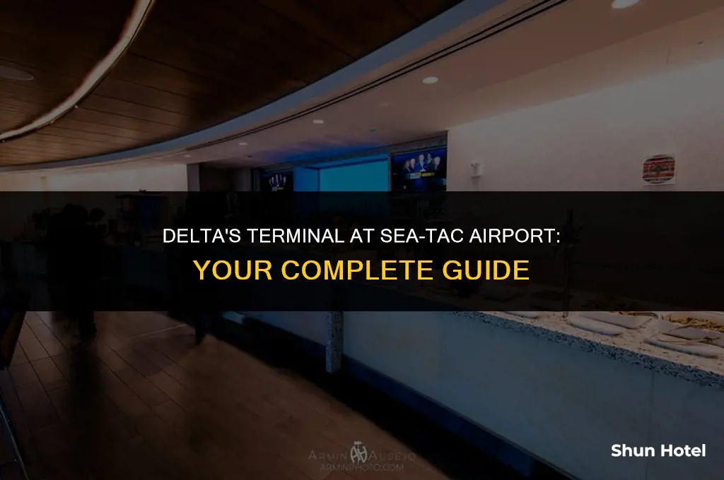 what terminal is delta at seatac airport