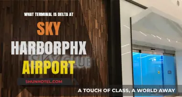 Delta's Terminal at Sky Harbor: Your Complete Guide