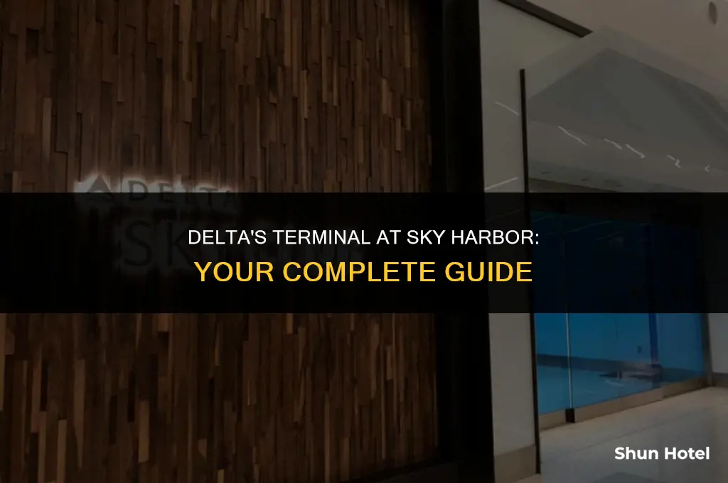 what terminal is delta at sky harborphx airport