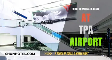 Exploring Tampa Airport: Delta's Terminal Guide for Travelers