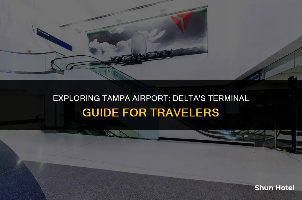 what terminal is delta at tpa airport