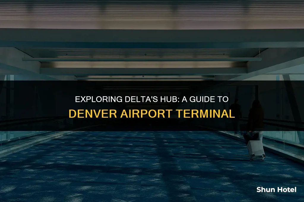 what terminal is delta denver airport