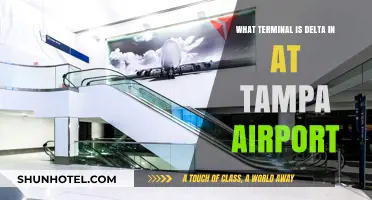 Exploring Tampa Airport: Delta's Terminal Guide for Travelers