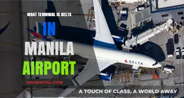 Navigating Manila Airport: A Guide to Delta's Terminal