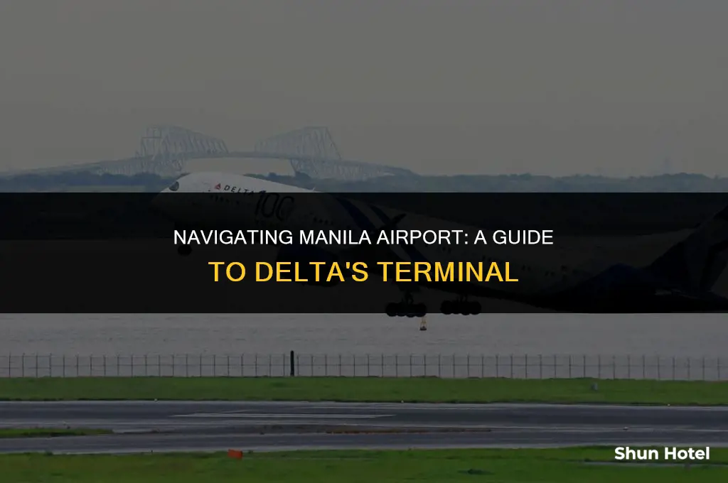 what terminal is delta in manila airport