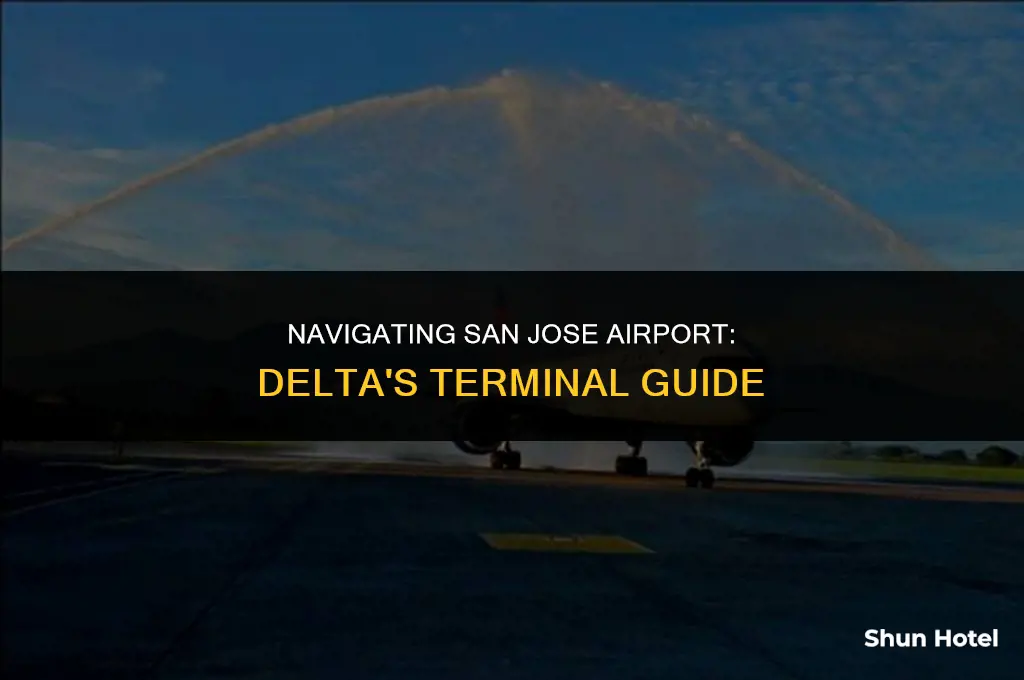 what terminal is delta in san jose airport