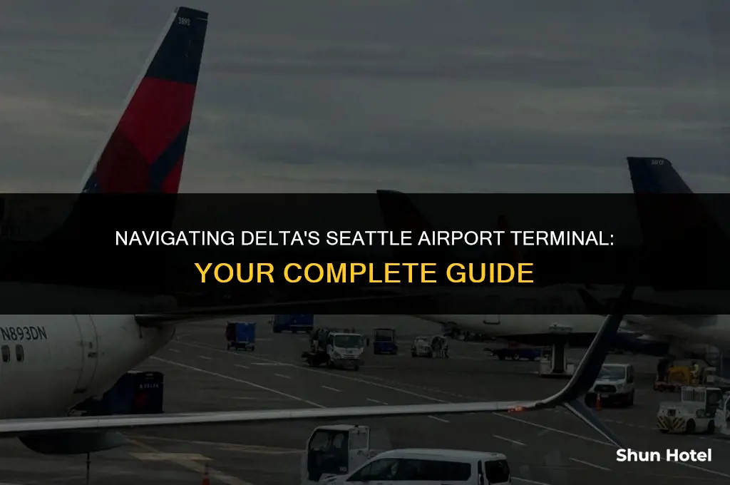 what terminal is delta seattle airport
