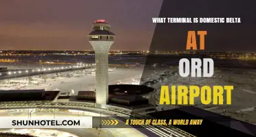 Exploring ORD: Domestic Delta Terminal Guide
